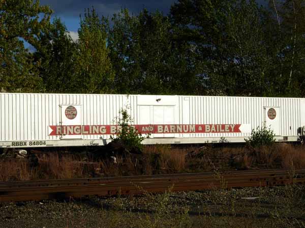 Ringling Brothers and Barnum & Bailey circus train