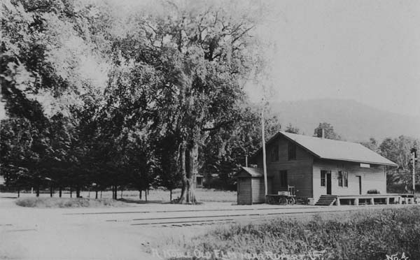 A Noble Old Elm near Rupert, Vermont