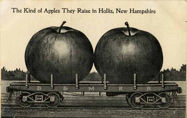 The Kind of Apples They Raise in Hollis, New Hampshire